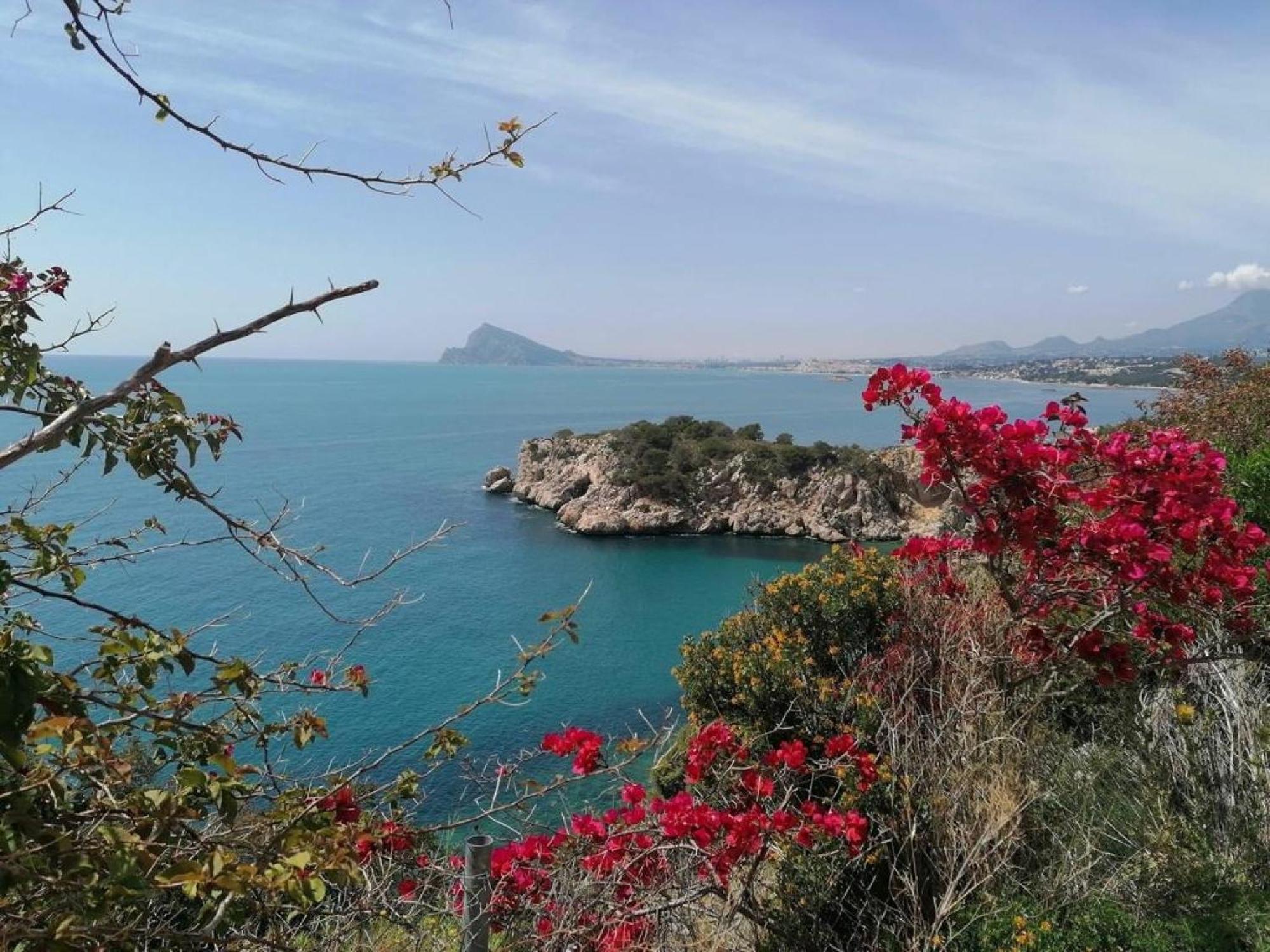 Timora Sea View New Apart' Hipocampos Calpe Eksteriør billede