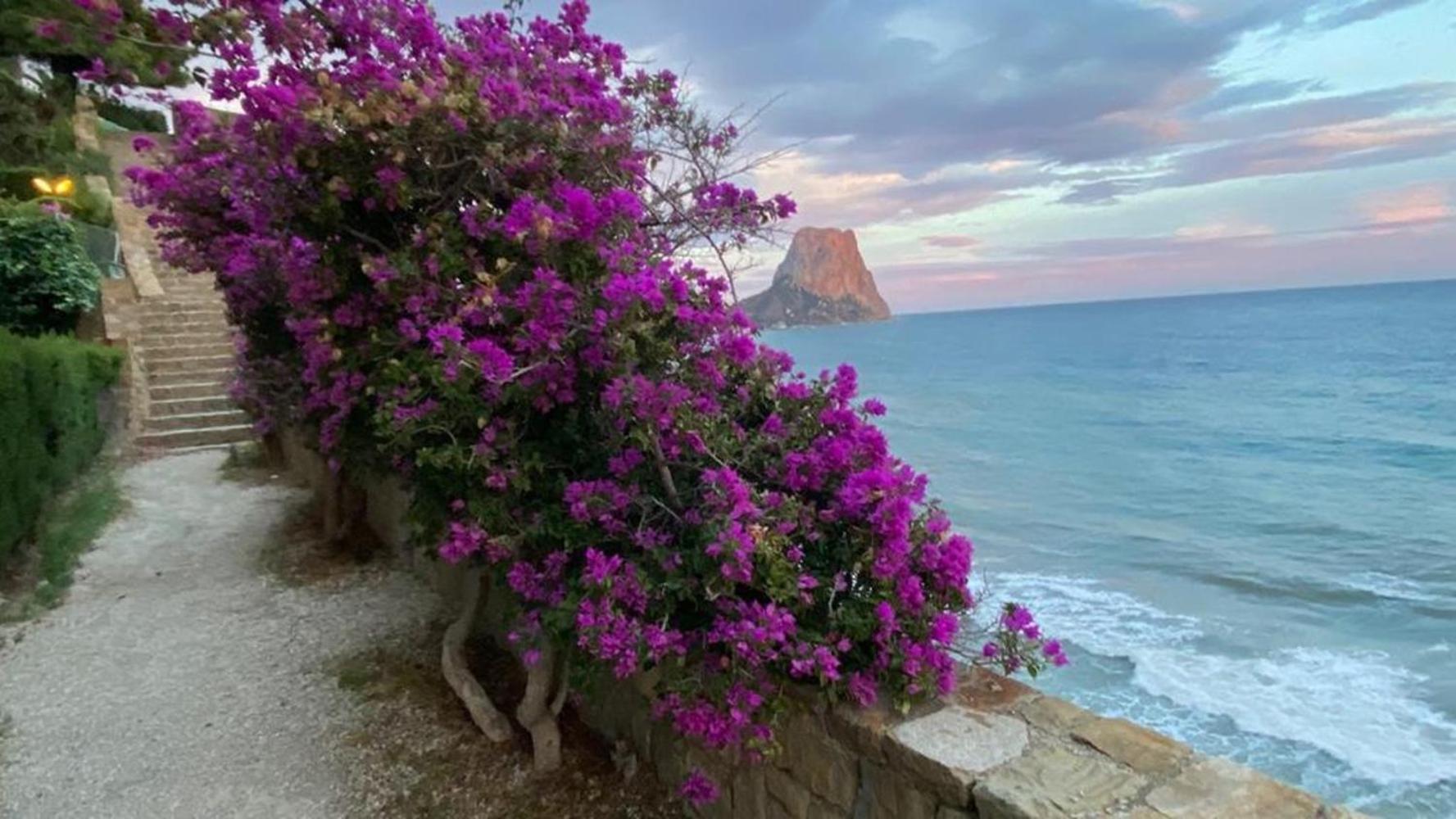 Timora Sea View New Apart' Hipocampos Calpe Eksteriør billede